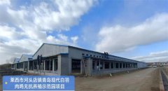 青岛莱西河头店镇:加快白羽肉鸡项目建设 城市更新新进展