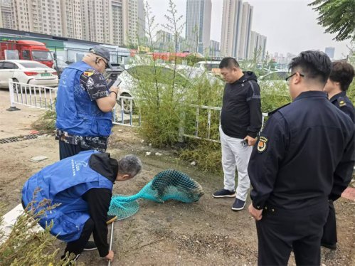 文明养犬入人心,社区环境更安心 崂山区综合行政执法局持续推进不文明养犬整治工作