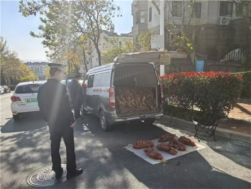 崂山区综合行政执法局整治市容秩序“顽疾”,提升城市治理见实效