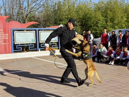 萌酷警犬、智慧大脑、知识讲座……胶州公安这场“警营开放日”活动全程高能!